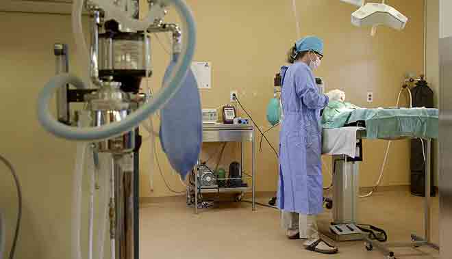 A Mira veterinarian prepares an operating room