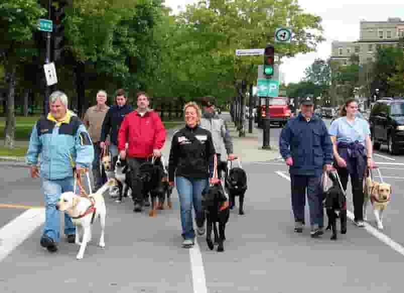 Un groupe du programme de chien guide assiste à un entraînement au centre-ville
