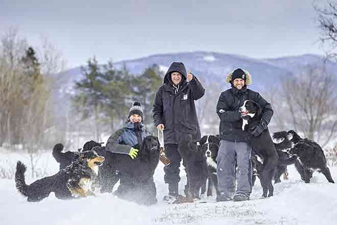 Trois employés de Mira jouant avec des chiens dans la neige