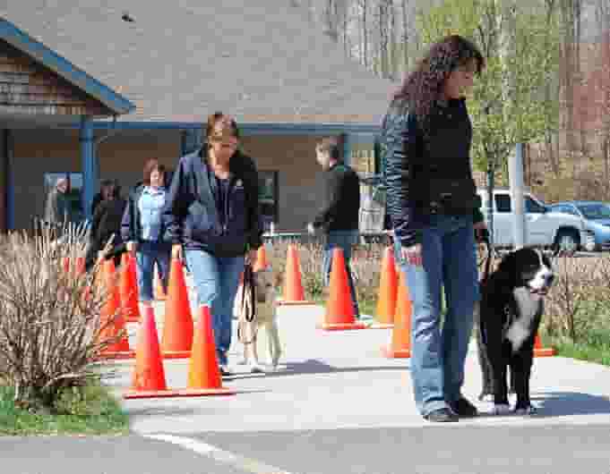 A group of the guide dog program attends a training session