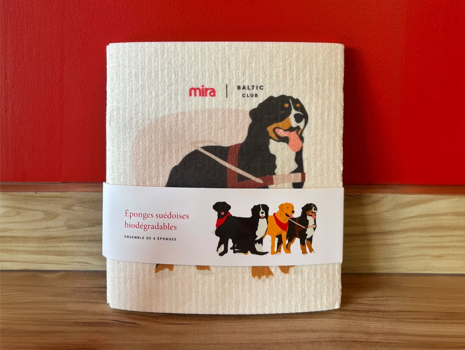 eponges-mira-2025-1.png