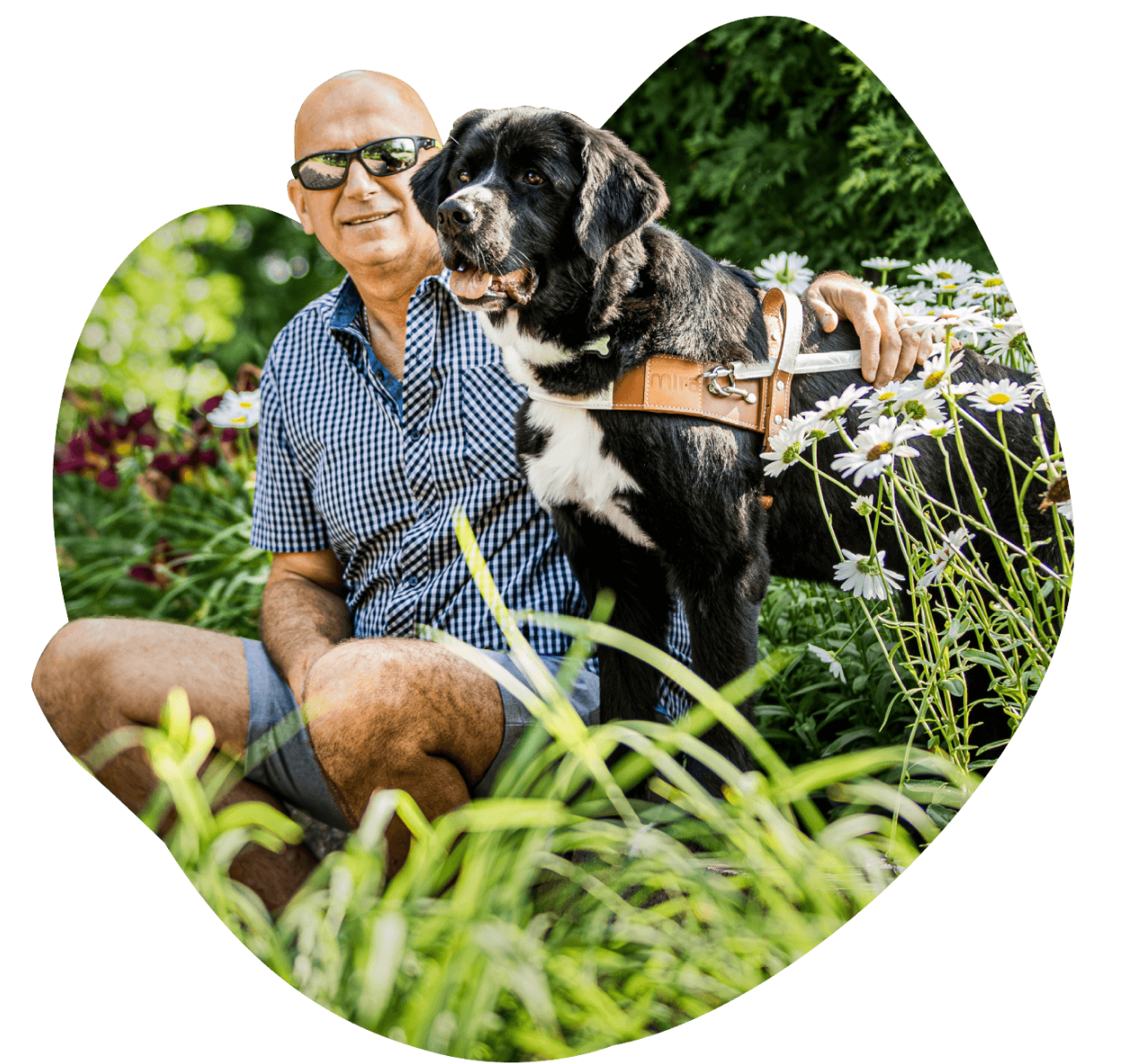 Témoignage Chien-guide